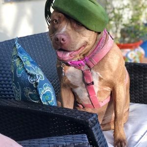 Meet your Posher, Gallery One.